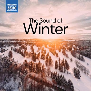 The Seasons, Op. 67: II. Winter: Variation 2, Ice