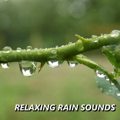 Brisk Afternoon Rain Sounds