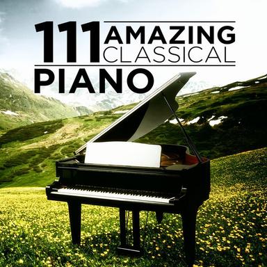 Sonata in B-Flat Major for Piano, D 960: III. Scherzo: Allegro vivace con delicatezza - Trio