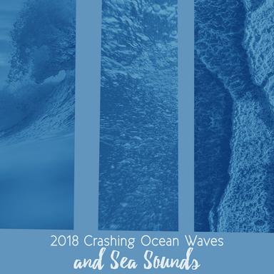 Crashing on the Shore