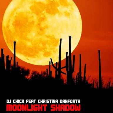 Moonlight Shadow - Frenk DJ & Joe Maker Remix