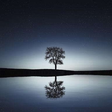 Spring Sessions 2019: Nature in your Home Relaxation Music Mix