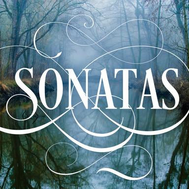 Violin Sonata, Op. 18: II. Improvisation