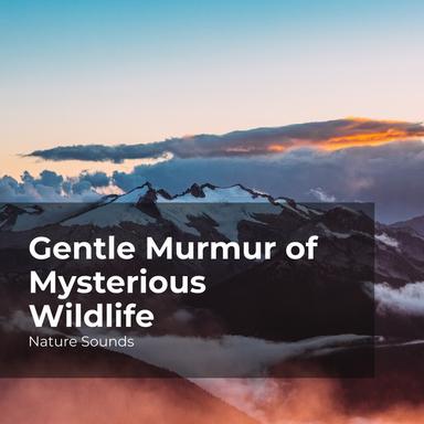 Crickets in the Forest