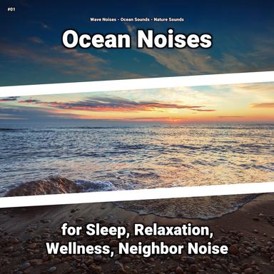 Ocean Sounds for Everyone