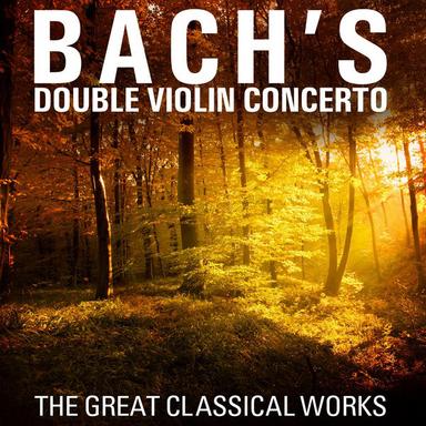 Partita No. 2 in D Minor for Solo Violin, BWV 1004: V. Ciaccona