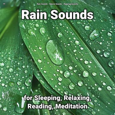 Superb Sounds