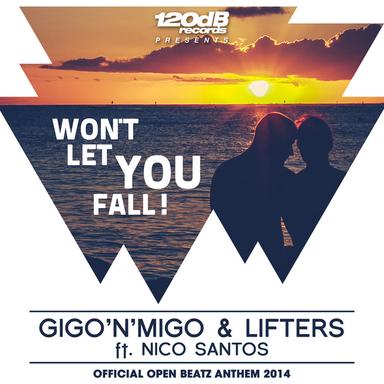 Won't Let You Fall - Original Mix