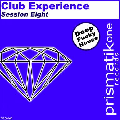Dance All Night - Dirty Nu Disco Mix