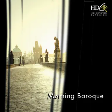 Oboe Concerto in D Minor, S. Z799 : II. Adagio