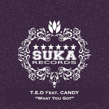 What You Got - Protoxic & Futurism Remix