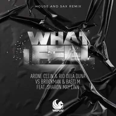 What I Feel - House and Sax Remix