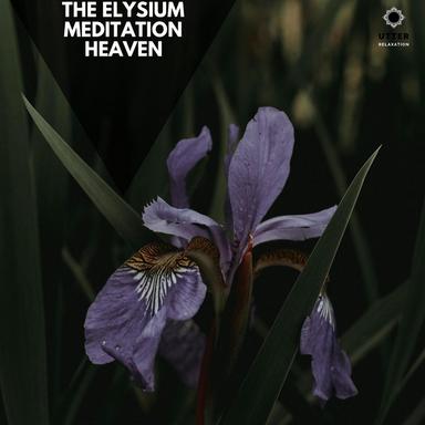 Morning at The Blue Ridge