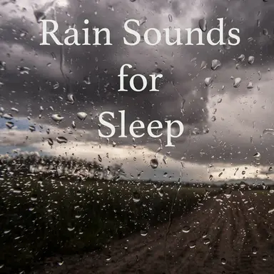 Light Rain on a Tin Roof