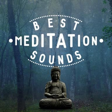 Trickle Through the Forest