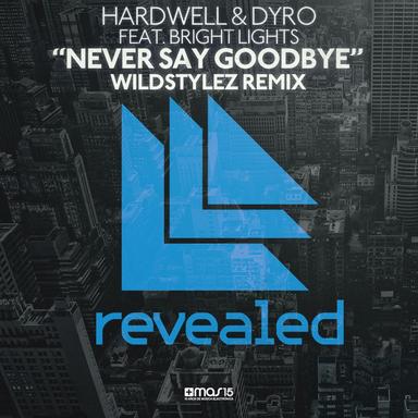 Never Say Goodbye (Wildstylez Remix)