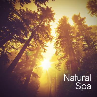 Water Under the Bridge