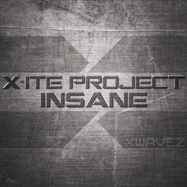Insane - Miss Inxs Remix