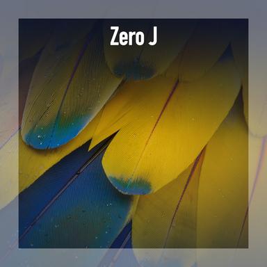 Zero J