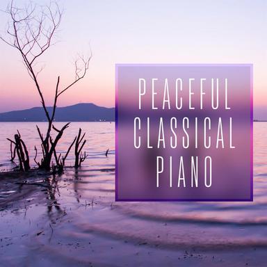 Nocturnes, Op. 9: No. 1, Larghetto in B-Flat Minor