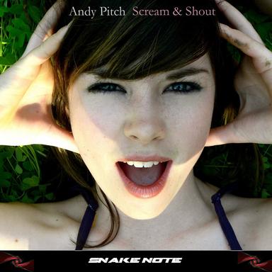 Scream & Shout - Remix