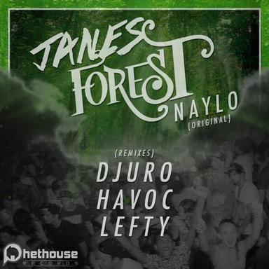 Janes Forest - Djuro Remix