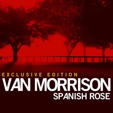 Who Drove The Red Sports Car