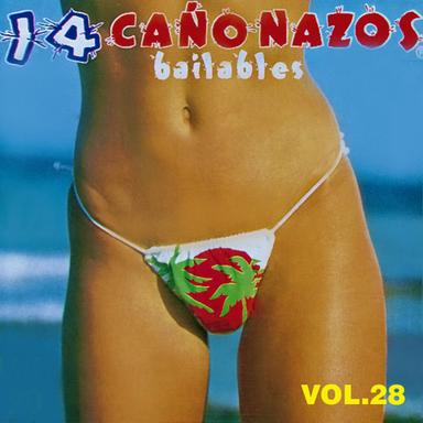 14 Cañonazos Bailables, Vol. 28