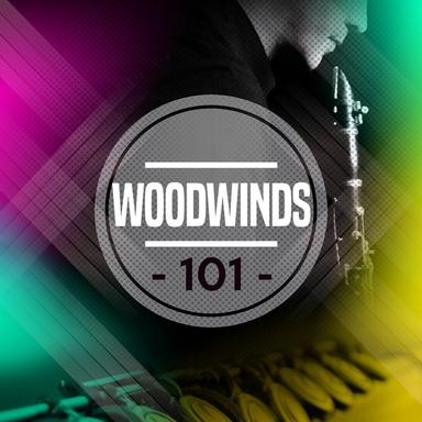 Flute Concerto in A, Wq 168 : 1. Allegro