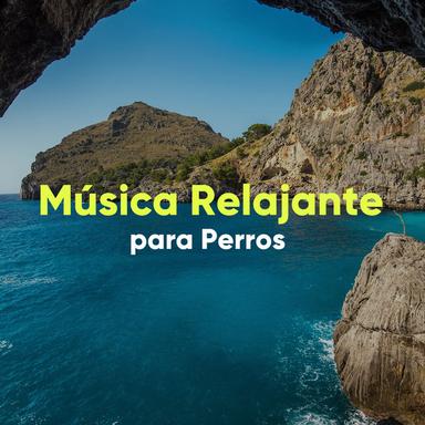 Meditacion de Relajación