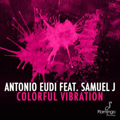 Colorful Vibration - DJ PP Remix