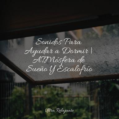 Causes Casuales