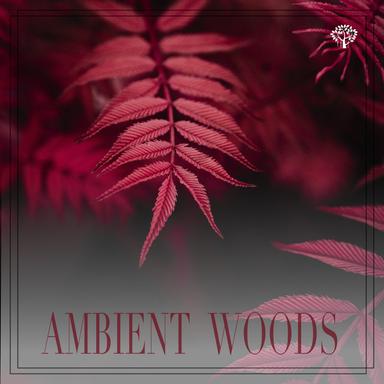 Ambient Woods