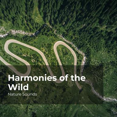 Explore the Wildlife