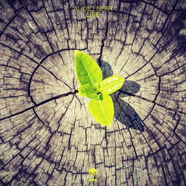 Life - Yuriy From Russia Remix