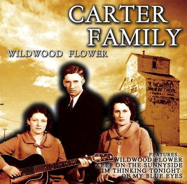 In the Valley of the Shenandoah