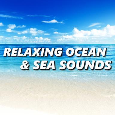 Healthy Ocean Waves