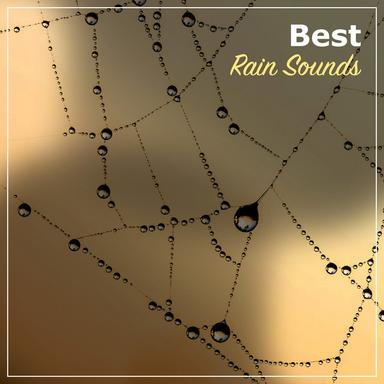15 Best Rain and Nature Sounds