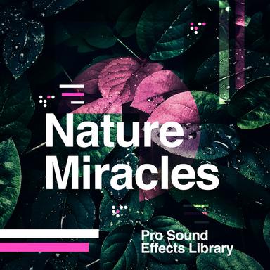 Chimes of Mother Nature