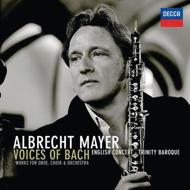 Concerto for Cor Anglais (from BWV 54): 2. Adagio