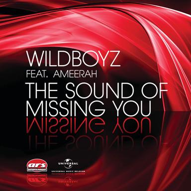 The Sound Of Missing You - Radio Edit