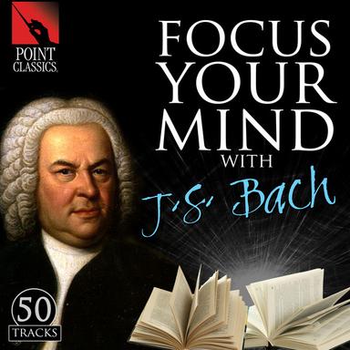 Violin Concerto in E Major, BWV 1042: II. Adagio