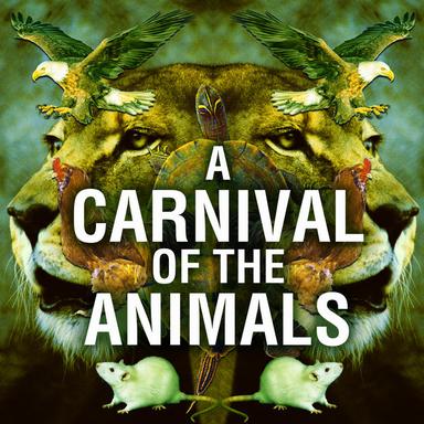 Le Carnaval des animaux, R. 125 'Carnival of the Animals': XIII. The Swan