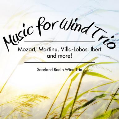 Divertissement for Oboe, Clarinet and Bassoon: II. Allegro assai