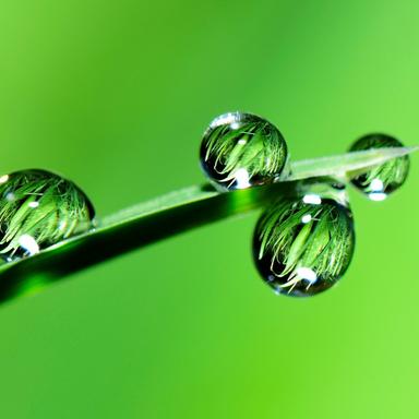 Rain in a Barrel