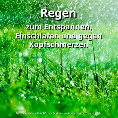 Regengeräusche gegen Tinnitus