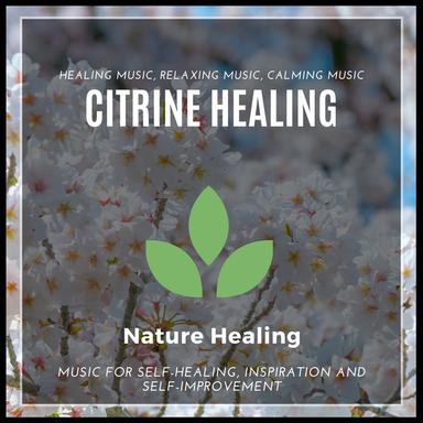 Deep Dhayana Heeling - Original Mix