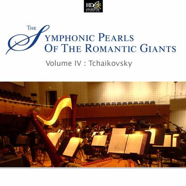 Symphony No.5 in E minor, Op. 64 : IV. Finale, Andante maestoso - Allegro vivace