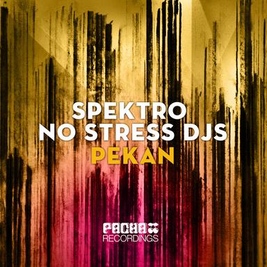Pekan - StylVer Remix