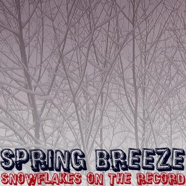 Snowflakes On The Record (Sun Kidz Electrocore Mix)